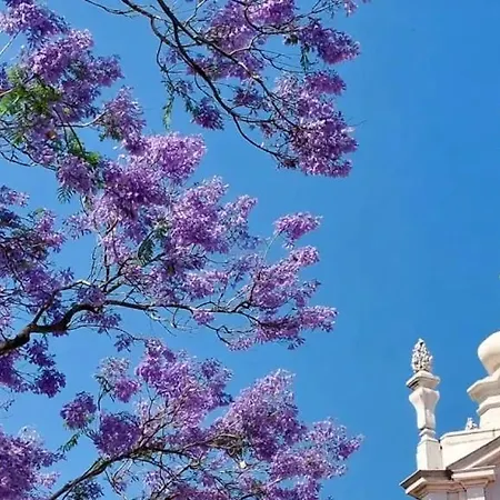 Jacaranda, Your Stylish Retreat In Daire