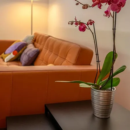Jacaranda Elegant In Prime Location -