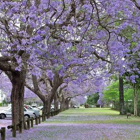 דירה Jacaranda, Your Stylish Retreat In *