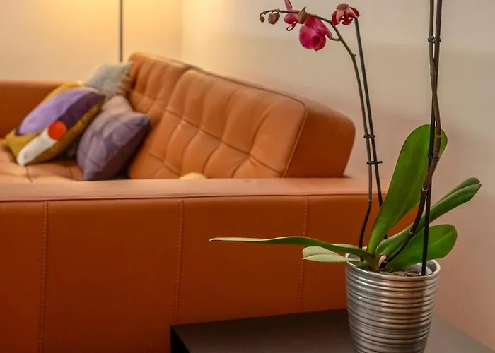 Jacaranda, Your Stylish Retreat In