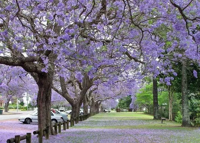 Appartement Jacaranda, Your Stylish Retreat In *