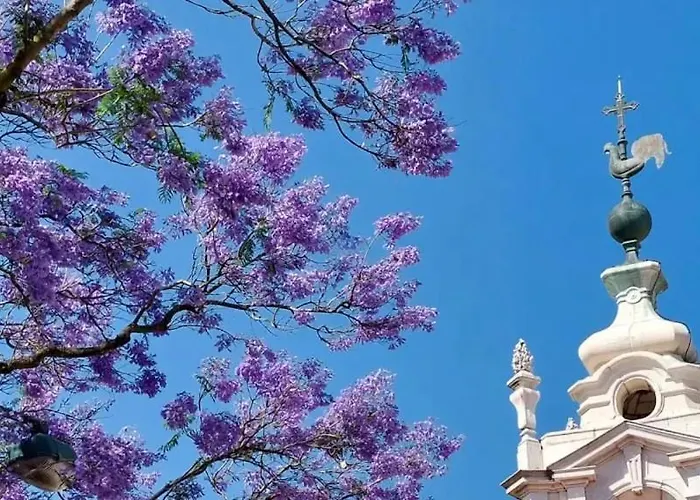 Jacaranda, Your Stylish Retreat In Appartement