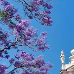 Jacaranda, Your Stylish Retreat In Apartman