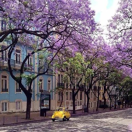 Jacaranda, Your Stylish Retreat In Appartement